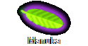 Manuka